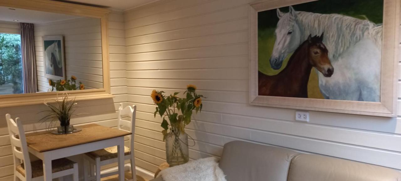 Chalet Le Papillon Zandvoort Exteriér fotografie